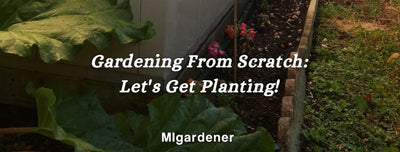 Gardening From Scratch Pt. 2 - Let's Get Planting!