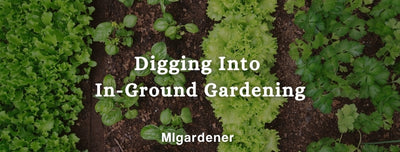 These In-Ground Gardening Methods Will Transform Your Soil