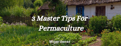 Master Permaculture By Combining These 3 Gardening Tips!