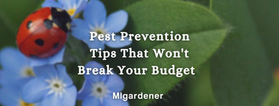 Pest Prevention Methods That Reframe Pest Control