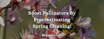 Boost Pollinators By Procrastinating Spring Cleaning!