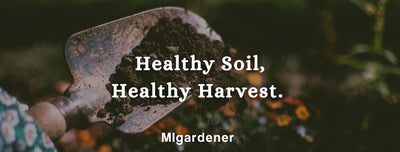 These Healthy Soil Tips Will Triple Your Harvest