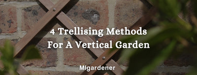 4 Trellising Techniques For A Vertical Garden