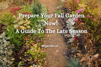 Prepare Your Fall Garden Now! A Guide To The Late Season