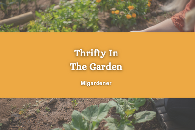 Being Thrifty In The Garden