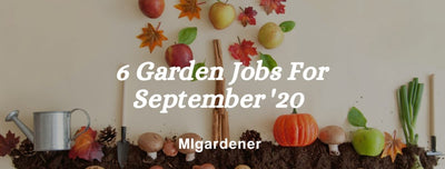 6 Essential Gardening Jobs For September 2020