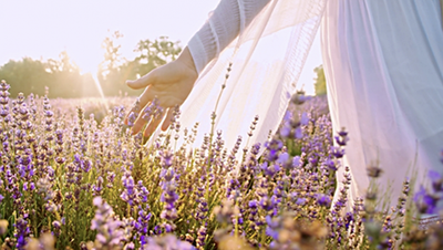 Planting for Your Senses: An Intro to Sensory Gardening