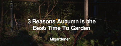 3 Reasons Fall Is The Perfect Time To Garden