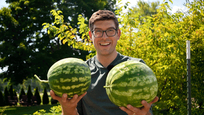 How to Grow Watermelon: A Complete Guide for Melons