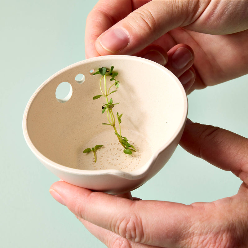 NEW Peel, Grate & Prep Dish