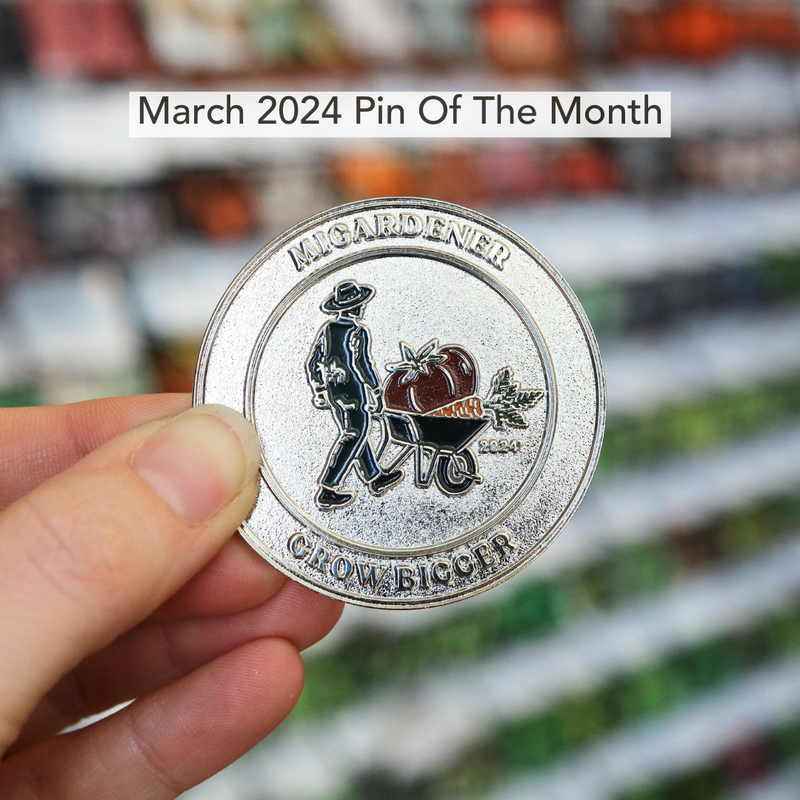 Pin of the Month *Limited Edition*