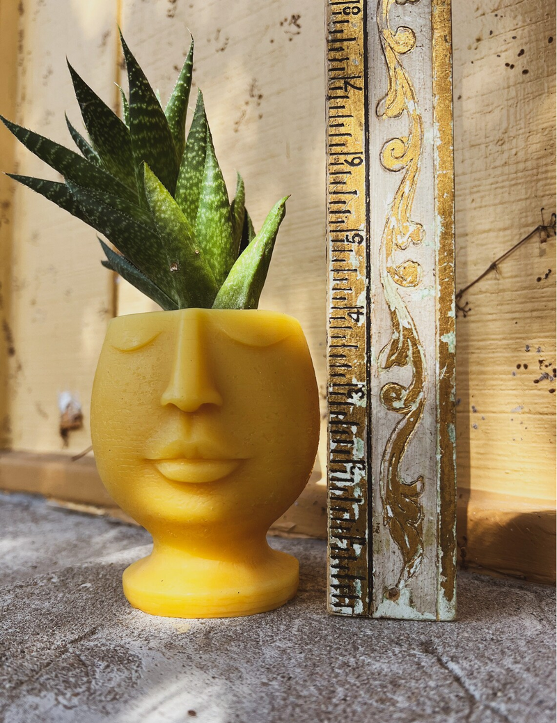 Beeswax Head Planter - 100% Kansas City Beeswax - 4" Tall