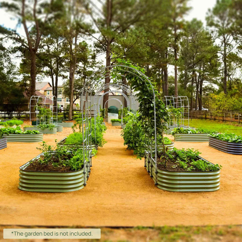 Arched Trellis System by Vego Garden