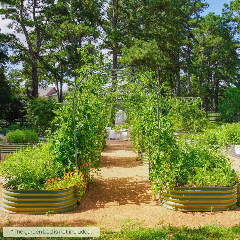 Arched Trellis System by Vego Garden