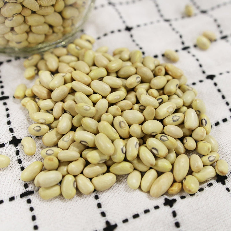 Hutterite Soup Bean (Bush)