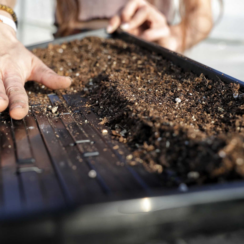 Bootstrap Farmer 1020 Shallow Tray