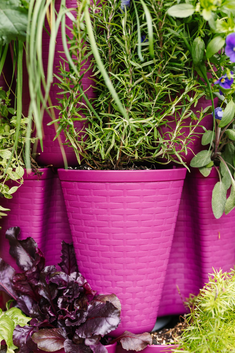 5 Tier GreenStalk Original Vertical Planter | Razzleberry (Basket Weave Texture) 