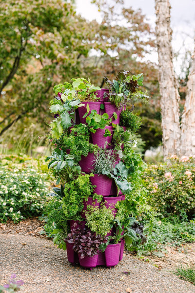 7 Tier GreenStalk Leaf Vertical Planter | Peppercorn (Basket Weave Texture) (Copy) 