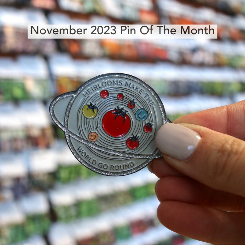 Pin of the Month *Limited Edition*