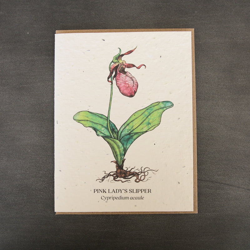 Botanical Plantable Seed Cards