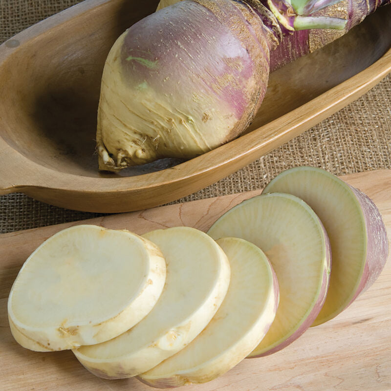 Laurentian Rutabaga