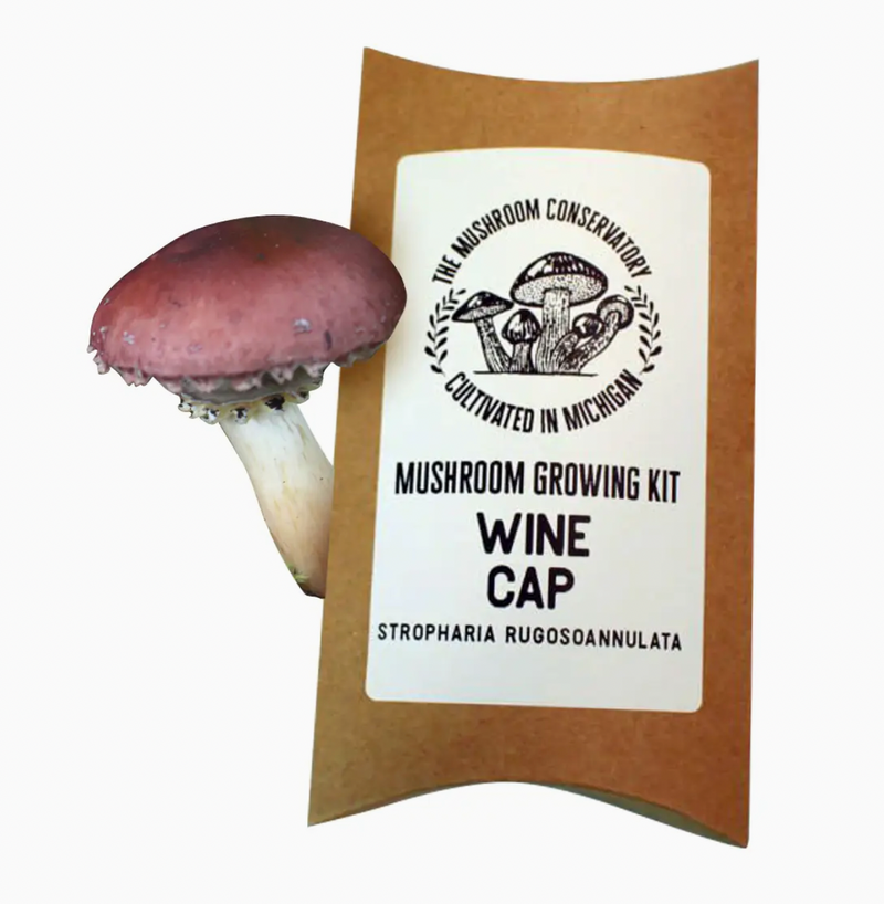 Wine Cap Mushroom Growing Kit