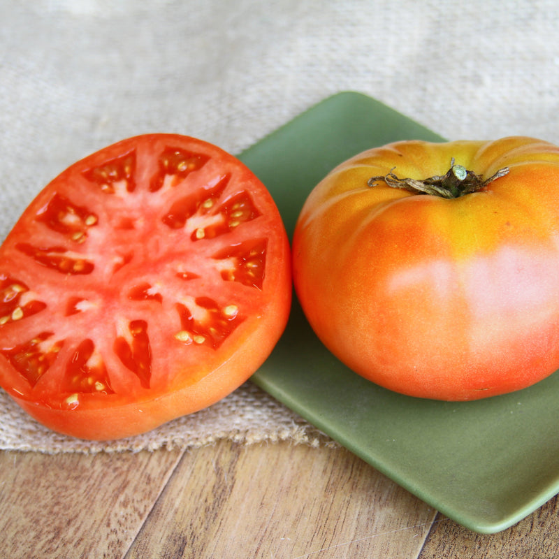 Brandywine Red Tomato