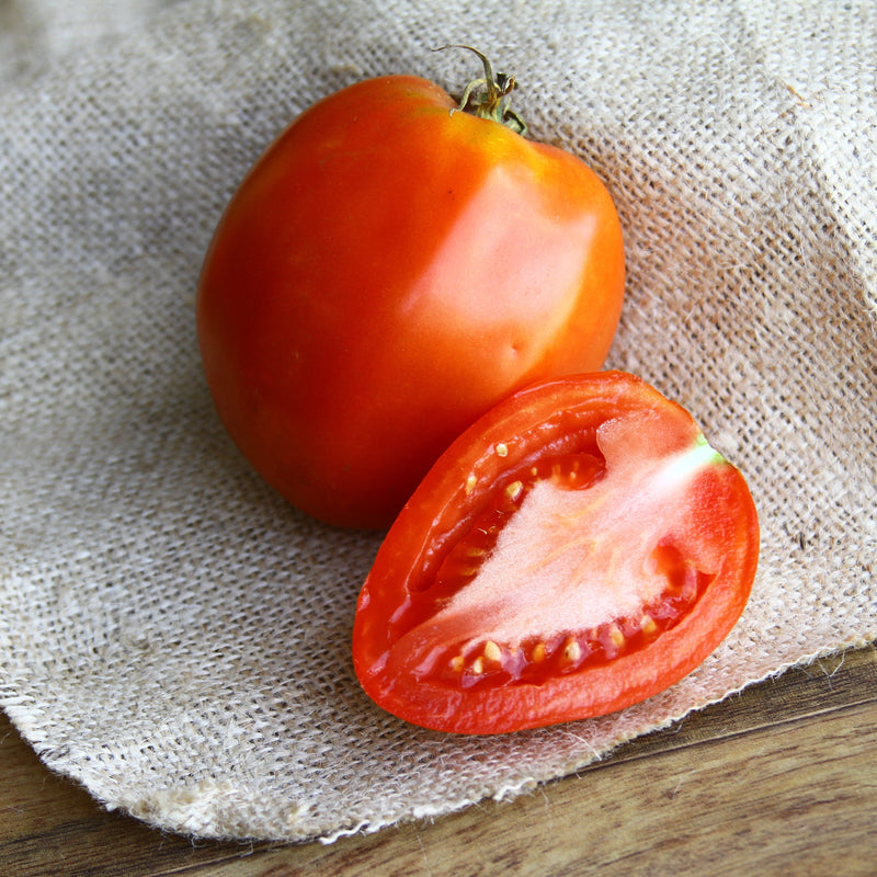 Amish Paste Tomato