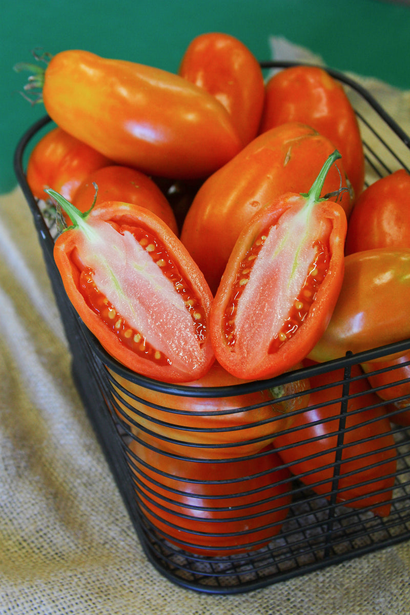 Inciardi Paste Tomato