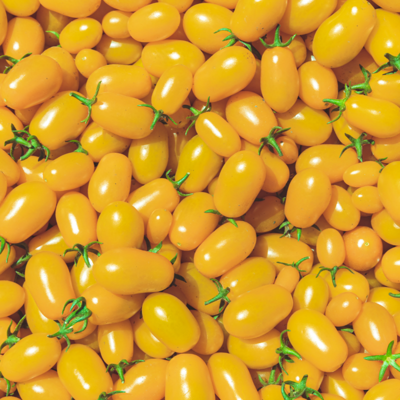 Yellow Plum Tomato