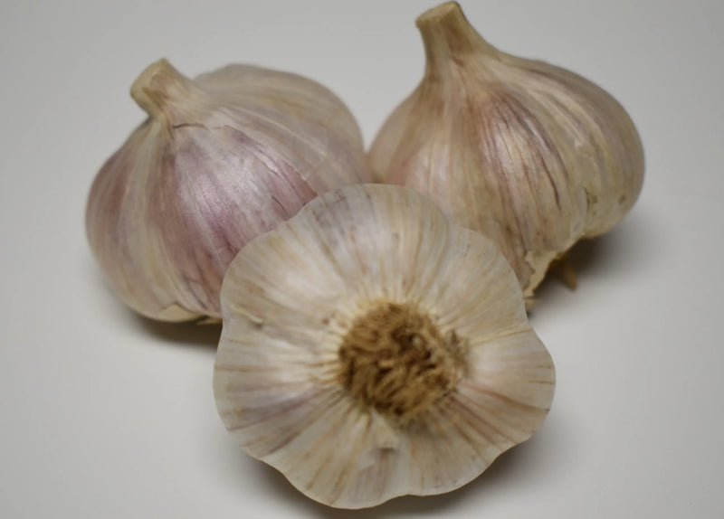 Ukrainian Red (Hardneck) Garlic