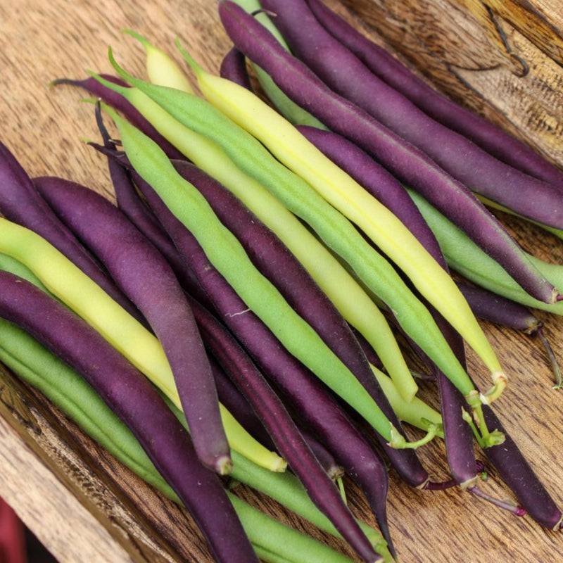 Tri-color Green Bean Mix