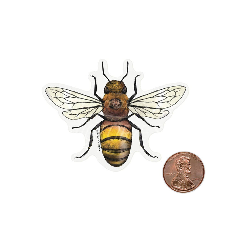 Eco-Sticker: Honey Bee