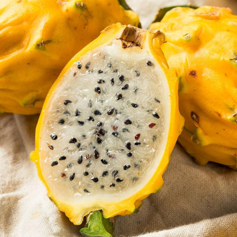 Yellow Dragonfruit