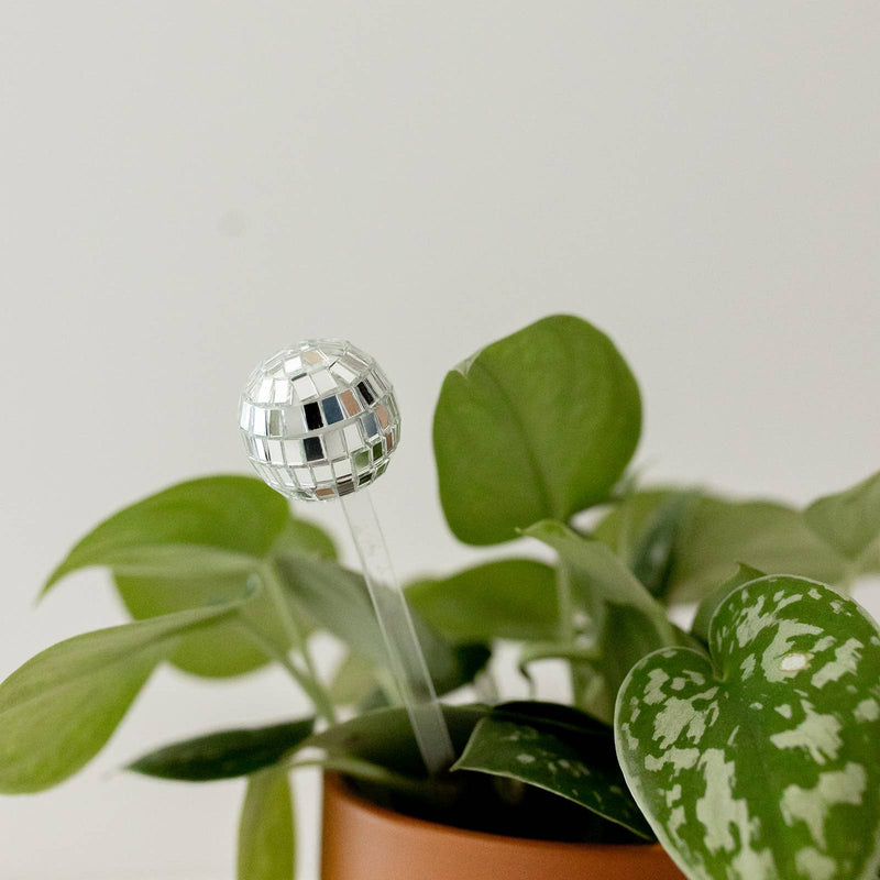 Disco ball plant stick