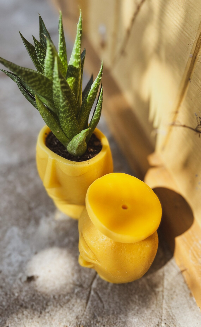 Beeswax Head Planter - 100% Kansas City Beeswax - 4" Tall