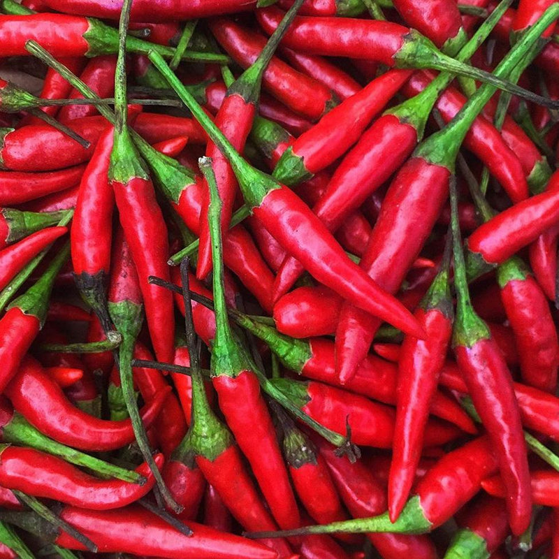 Thai Chili Pepper