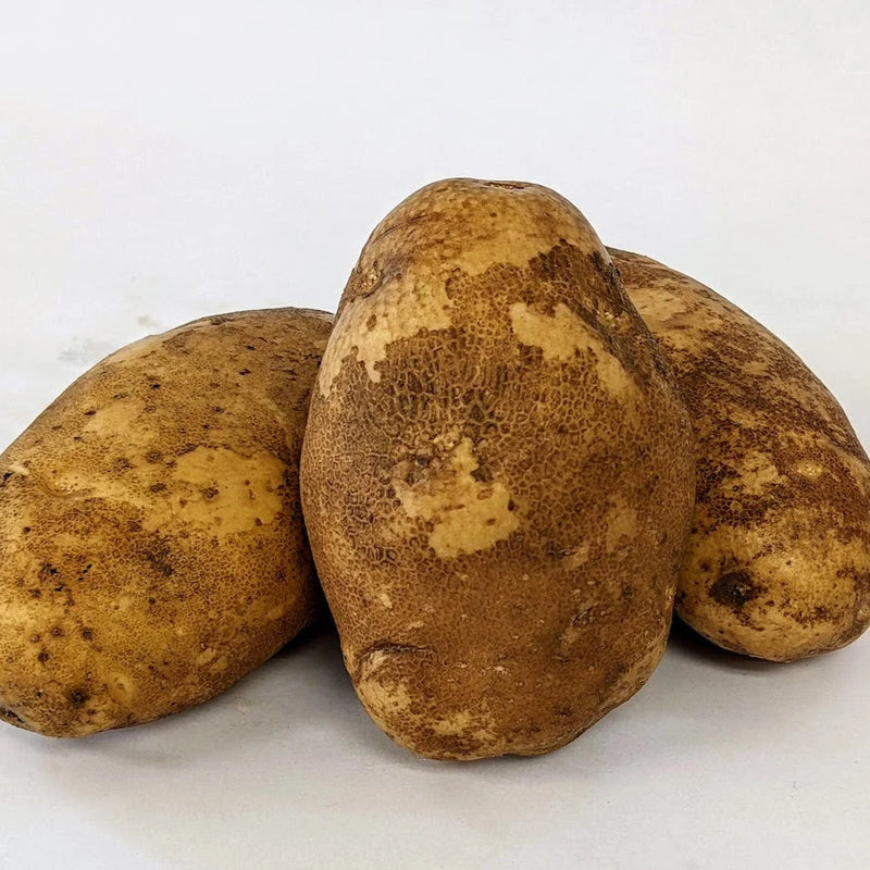 Russet Burbank Seed Potato PRESALE