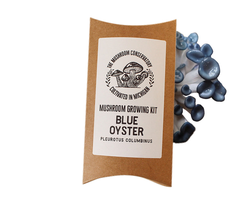 Blue Oyster Mushroom Growing Kit