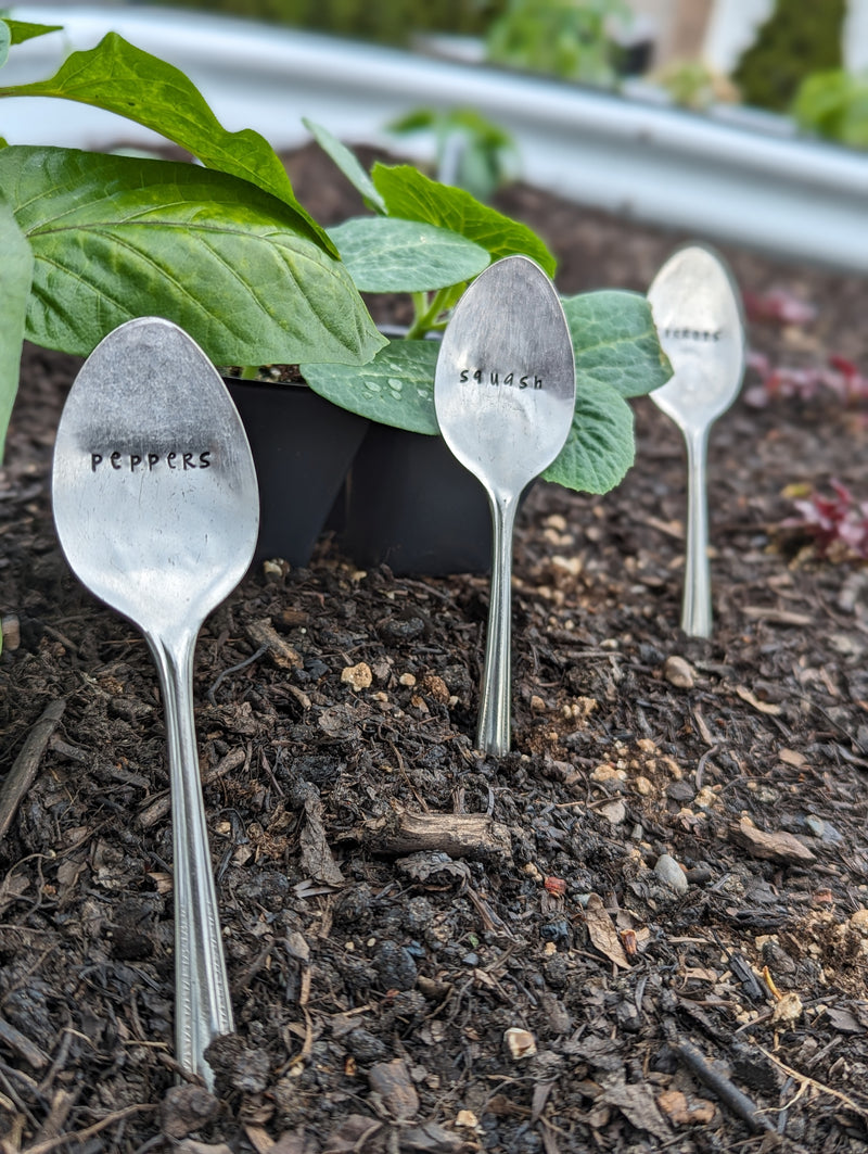 Metal Teaspoon Plant Markers