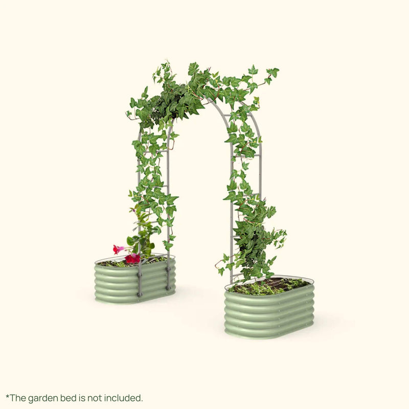 Arched Trellis System by Vego Garden