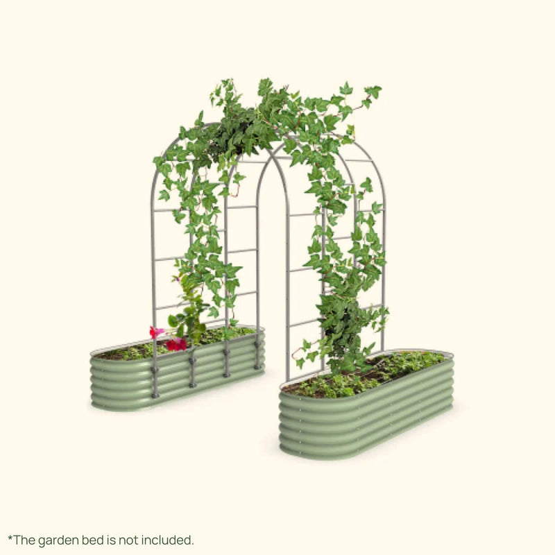 Arched Trellis System by Vego Garden