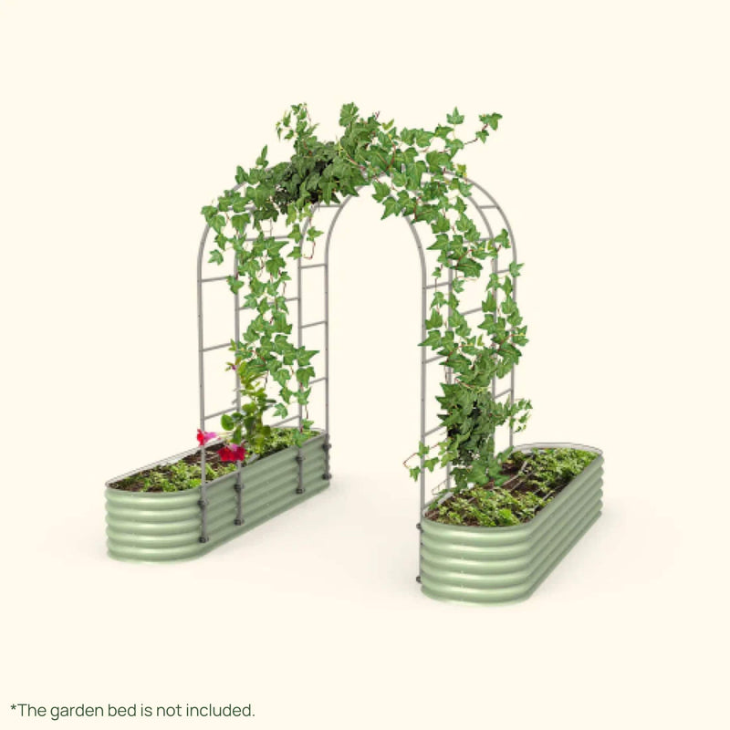 Arched Trellis System by Vego Garden