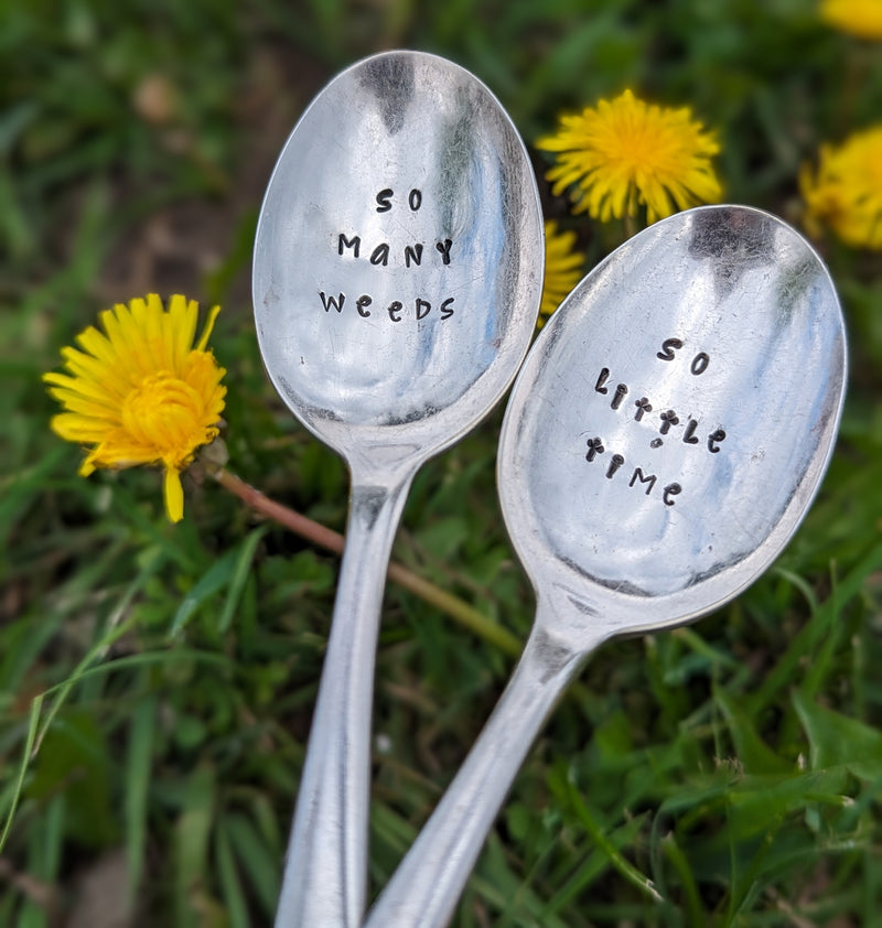 Metal Teaspoon Plant Markers