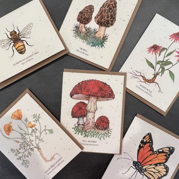 Botanical Plantable Seed Cards