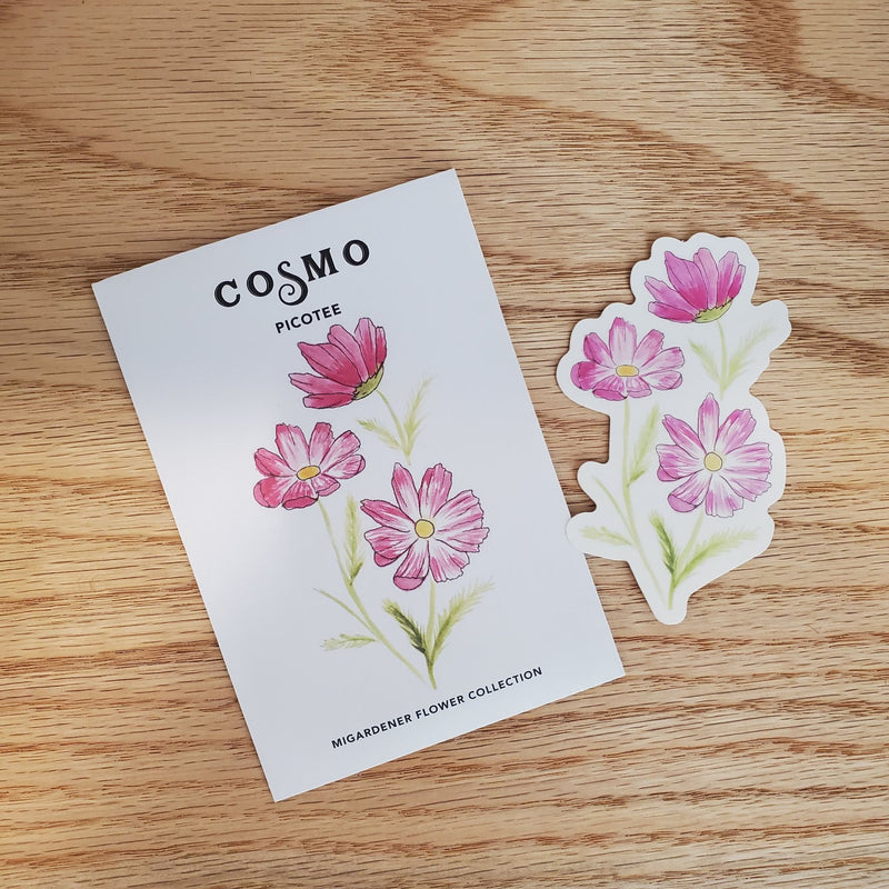 Picotee Cosmo Illustration Sticker