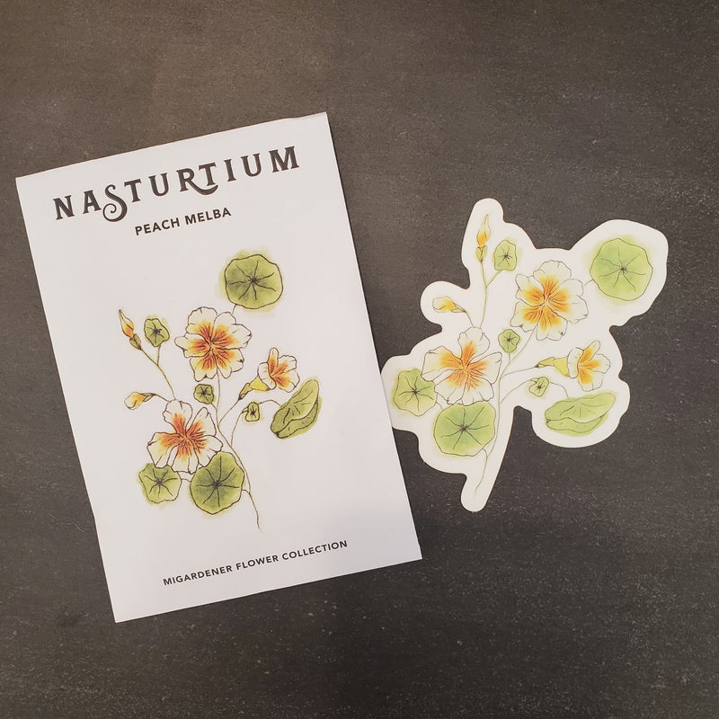 Nasturtium Illustration Sticker