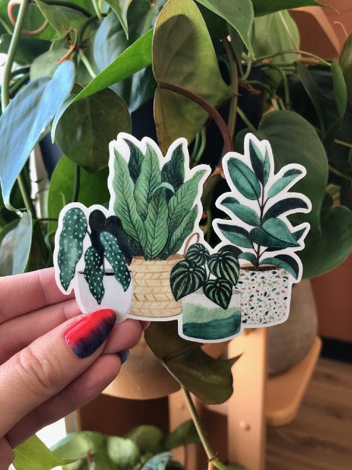 Potted Plants Clear Sticker