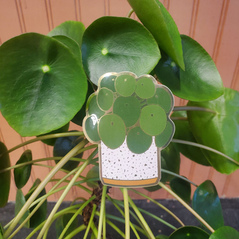 Pilea Sticker