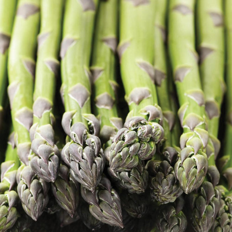 Asparagus Mary Washington Seed